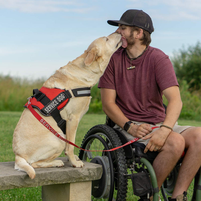 [Australia] - Service Dog Leash Wrap, Emotional Support Dog Leash with Neoprene Handle and Reflective Lettering - Supplies or Accessories for Service Dog Vest, Emotional Support Vest, or ESA Harness Red 