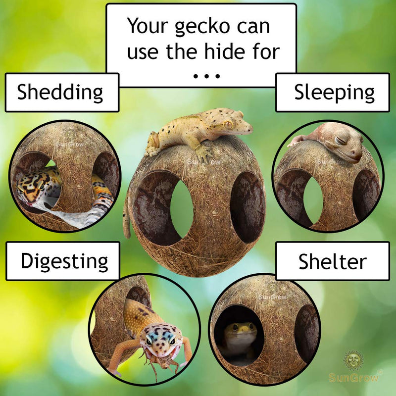 SunGrow Leopard Gecko Coco Hut, Raw Coconut Shell Hide, Terrarium Décor, Includes Three Holes with 2.4” Opening Diameter, with Fiber Loop for Hanging, 5.1" (Total Circumference), 1 Piece Per Pack - PawsPlanet Australia