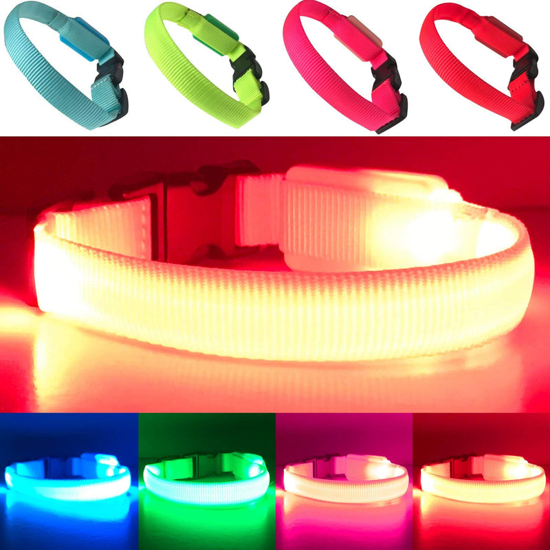 EXPERSOL LED Dog Collar Super Bright Battery Operated Increased Visibility and Safety 4 Colours (Red X-Small) - PawsPlanet Australia