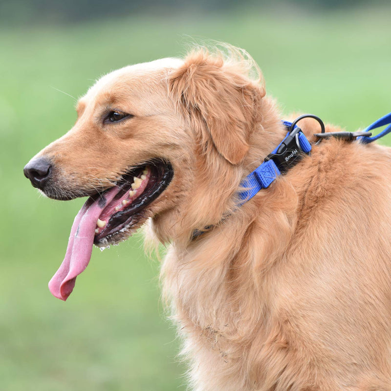 Traffic Nylon Classic Basic Dog Collar (2019 Quick Release Sturdy Buckle Without Snagging Hair - Pup Boy and Girl Dogs Walking and Training. (Small, Bright Blue) Small - PawsPlanet Australia