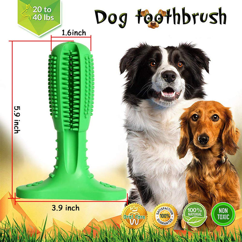 Dog Toothbrush, Upgraded Natural Rubber Dog Brushing Stick Soft Puppy Chew Toy Cleaner Dog Toothbrush Chew Toy for Dog 20-45 lbs Oral Dental Care (Medium) - PawsPlanet Australia