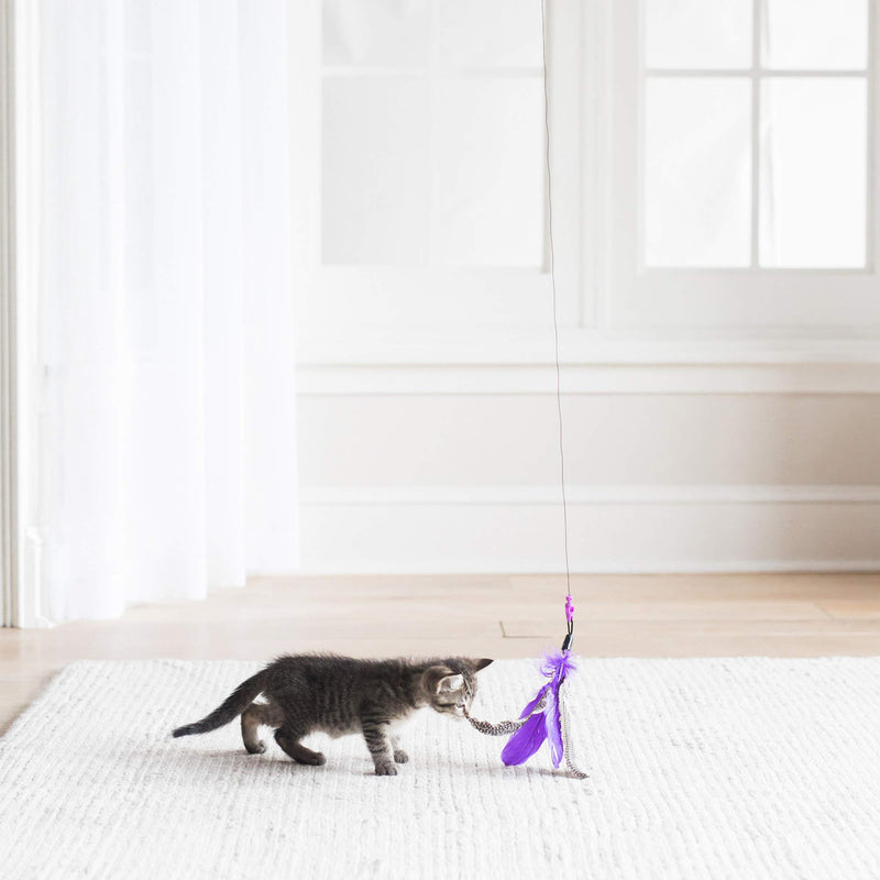 [Australia] - Jackson Galaxy AIR Wand With Feather Toy 