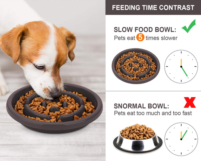 Pecute Dog Bowl Slow Feeder Bloat Stop Pet Bowl Eco-Friendly Non-Toxic No Choking Healthy Design Bowl with No-Spill Non-Skid Silicone Mat Stainless Steel Water Bowl for Dogs Cats and Pets M-13.5oz/bowl Brown Bowl - PawsPlanet Australia