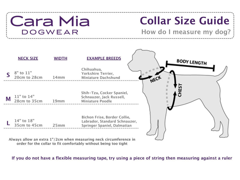 Cara Mia Dogwear Metallic Multi Coloured Paw Stud Collar with Diamante Buckle (Small) Small - PawsPlanet Australia