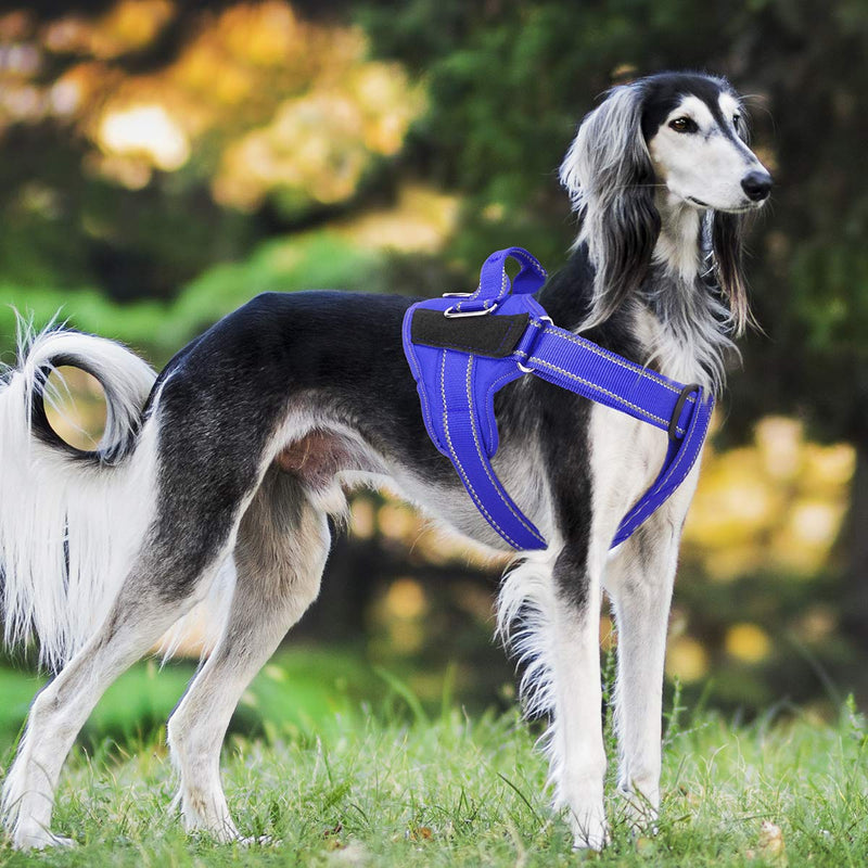 [Australia] - Service Dog Harness, No-Pull Reflective Vest Harness Adjustable Outdoor Pet Vest - Easy On & Off Comfort Pet Halters Breathable Oxford Soft Vest with Easy Control Handle for Small Medium Large Dogs L (NECK: 17″-27″/CHEST: 26″-34″) Blue 