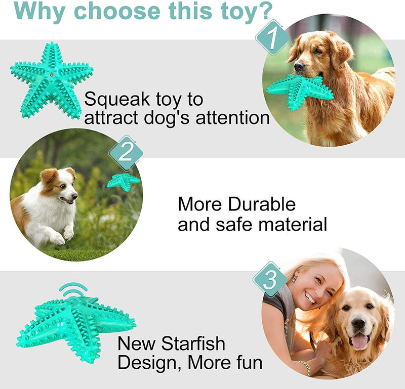 Pet Teething Squeaky Toy Dog Toothbrush Starfish Shaped, Indestructible Starfish Sound Dog Chew Toy for Small to Medium Dogs, Large Dogs, Puppies, Dental Cleaning Toy green - PawsPlanet Australia