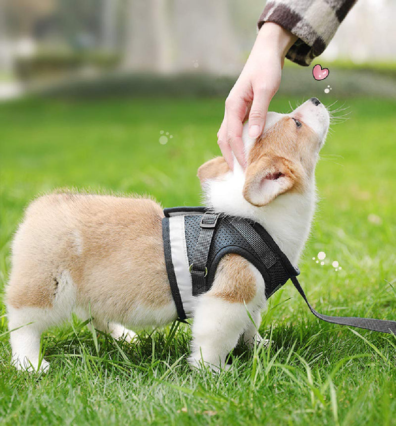 [Australia] - YujueShop Cat Harness and Leash Pet Vest Small Dog Harness Escape Proof Reflective Re-Adjustable Walking Soft Mesh with Pet Leash for Cats Puppies Pets XS 21-26.5cm/8.3-10.4in Black 