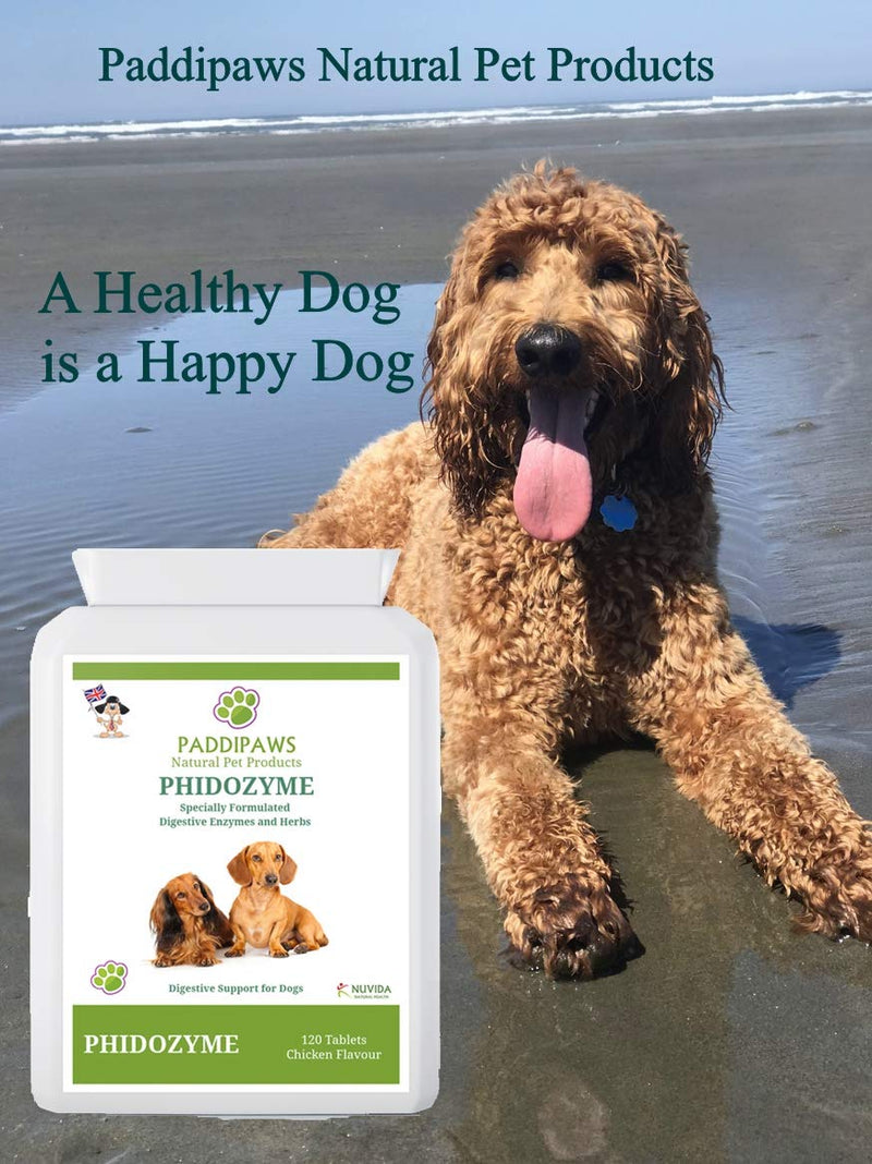 PADDIPAWS Phidozyme - Digestive Enzymes for Dogs with Specially Selected Herbs - Blended to provide a Natural Digestive Treatment for Dogs - 120 Tablets. - PawsPlanet Australia