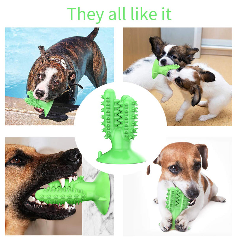 AEITPET Dog Toy Dog Toothbrush Stick Puppy Chew Toys for Medium Large Dogs Brushing Effective Stick Dog Tooth Cleaning Pets Nontoxic Natural Rubber Dog Puppy Dental Care Bite Resistant (Grün) Green - PawsPlanet Australia