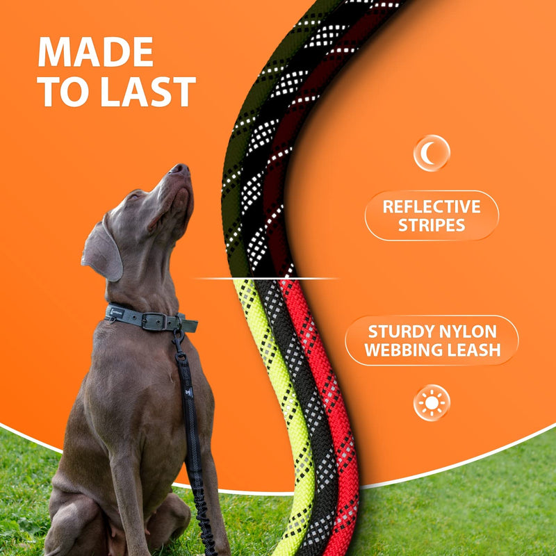 Dog leash with bungee extension for large and medium-sized dogs with shock absorber | Reflective Elastic Dog Leash for Walking (Teal, For ONE Dog) Teal - PawsPlanet Australia
