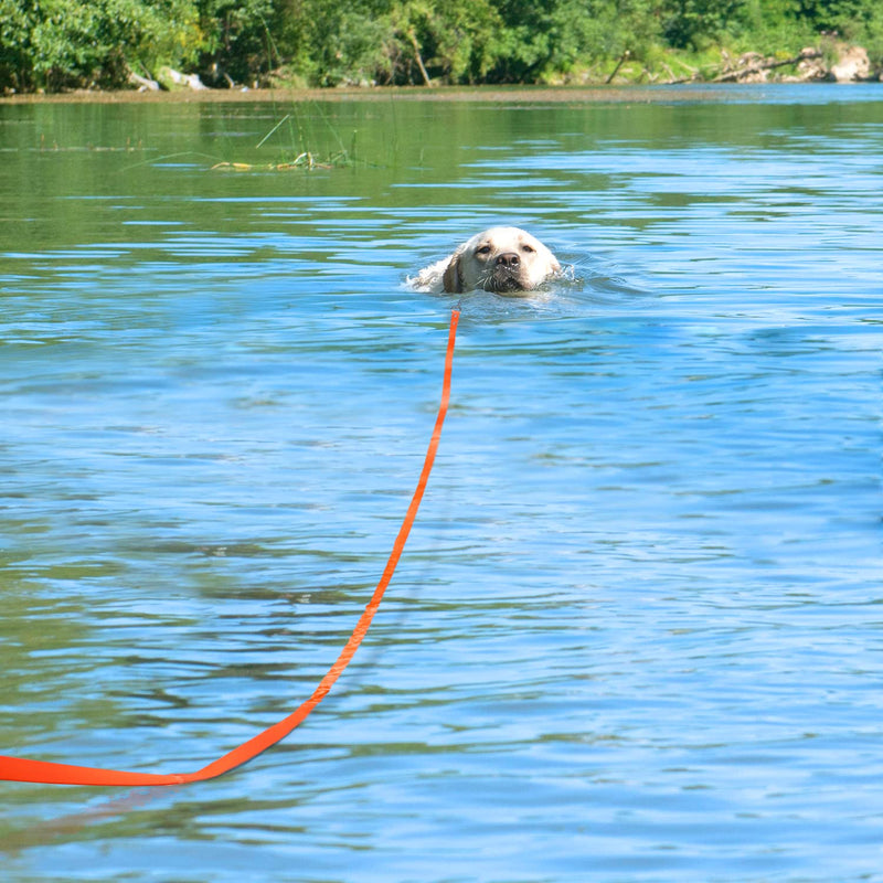 Dynmeow Tow Lead for Dogs, 5M 10M 15M 20M Waterproof Long Dog Lead for Dog Training, Training Lead for Medium and Large Dogs, Orange, 15M 15m (Pack of 1) - PawsPlanet Australia