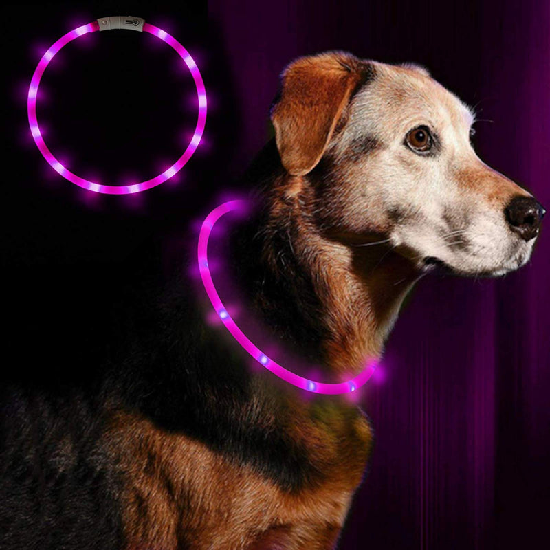 PetSol Extra Bright USB Rechargeable LED Dog Collar Cut To Size Universal Fit Weather Proof Easy Clean Improves Visibility & Safety For Your Dog (Pink) Pink - PawsPlanet Australia