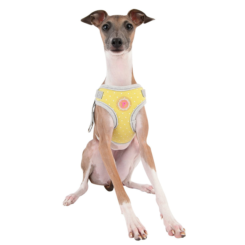 [Australia] - Pinkaholic New York Puppia Pinkaholic New York Lalo Harness C Small LIME 