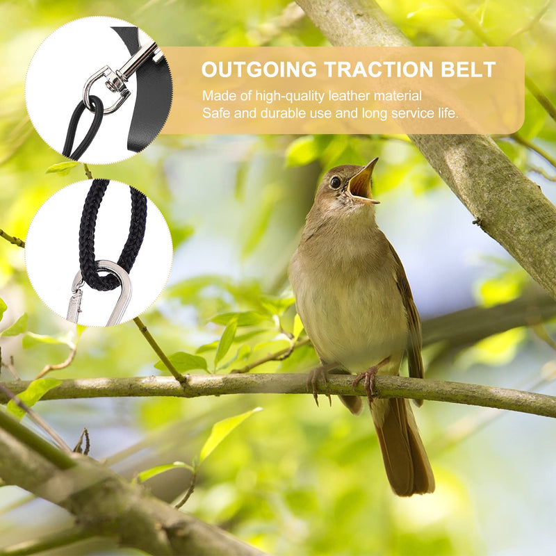 STOBOK Parrot Bird Harness Leash Adjustable Bird Flying Harness Traction Rope for Parrots Pigeons Budgerigar Lovebird Cockatiel Mynah Outdoor Small - PawsPlanet Australia