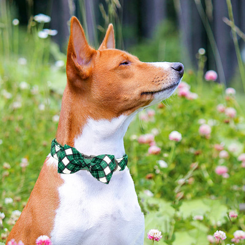 Elegant little tail St. Patrick's Day Dog Collar, Dog Collar with Bow, Green Grid Dog Collar Pet Gift Dog Bowtie Adjustable Dog Collar for Small Dogs Small (Pack of 1) A: Green Grid - PawsPlanet Australia