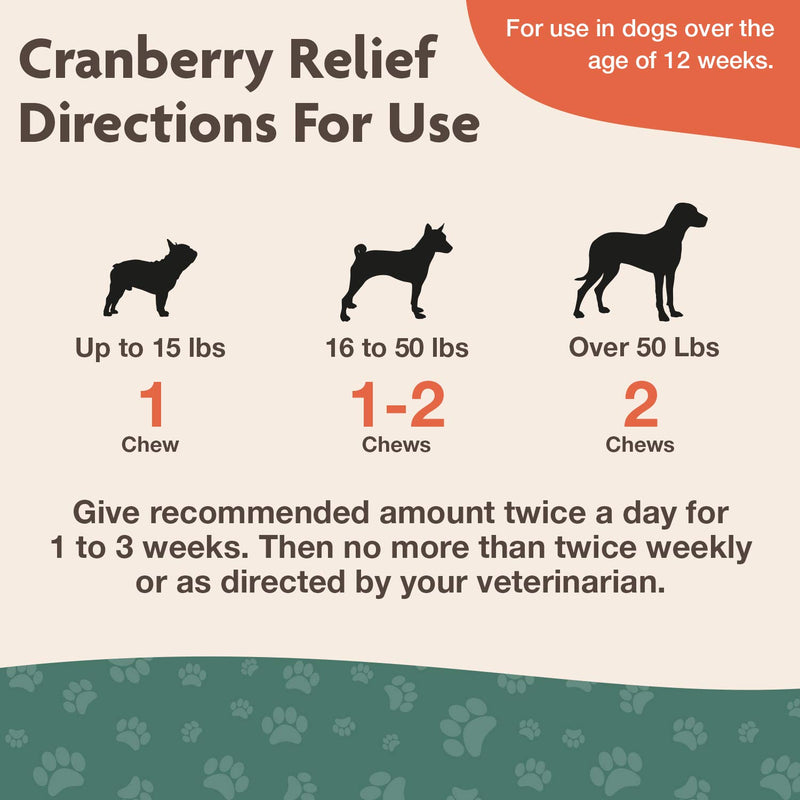 NaturVet CRANBERRY RELIEF + Echinacea Soft Chew Dogs Urinary Tract (CUP) - 60 ct - PawsPlanet Australia