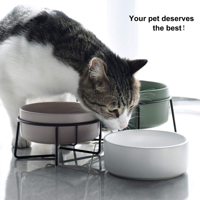 PETTOM Raised Cat Bowls Ceramic Double Cat Food and Water Bowl Set with Steel Stands for Cats and Small Dogs - Anti Vomiting, Spine Protection 400ml Grey+Green - PawsPlanet Australia