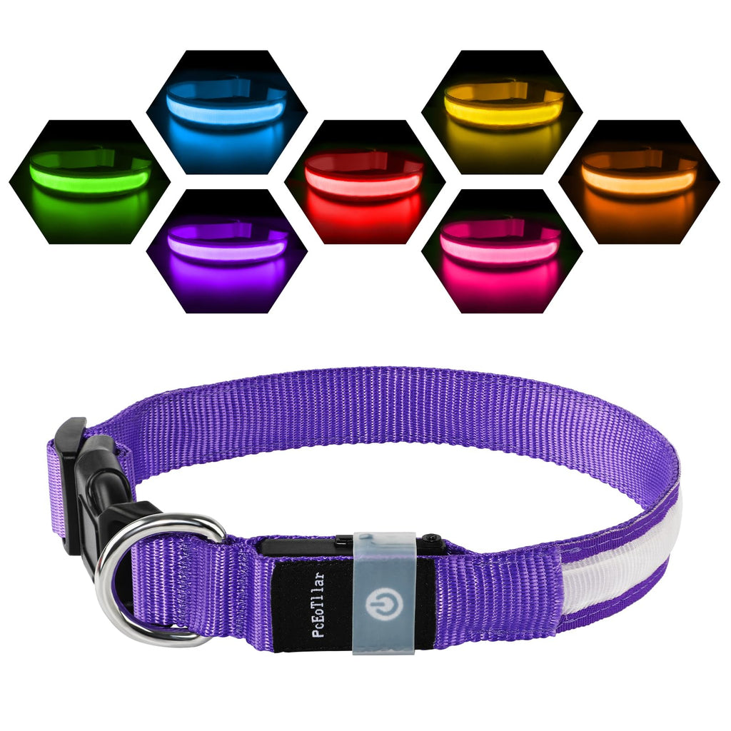 Light Up Dog Collar Rechargeable USB-C, LED Collar for Dogs Waterproof Dog Collar Luminous 7 Colors Flashing Light Adjustable Lightweight Collar Dogs for Small Medium Large Dogs, Purple SS(28-40cm/11-15.7inch) - PawsPlanet Australia