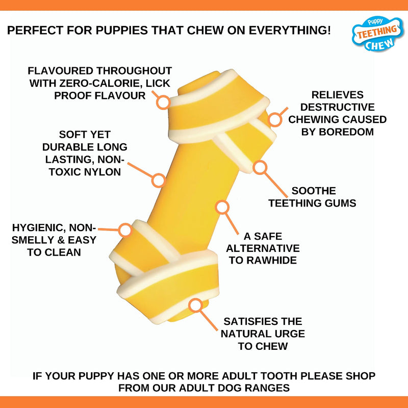 Nylabone Puppy Dog Teething Rawhide Alternative Knot Chew Toy, Beef Flavour, Extra Small, for Puppies Up to 7 kg - PawsPlanet Australia