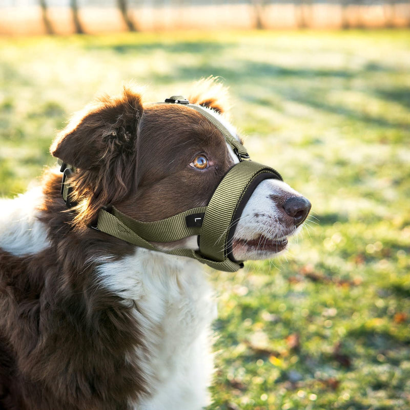 HEELE Muzzle for Dogs with Head Strap Dog Muzzle Soft Padded No More Rubbing Dog Muzzle Adjustable Loop Dog Muzzle Anti Chewing Muzzle for Large Medium Dogs, Green, MM (Pack of 1) Plain Green - PawsPlanet Australia