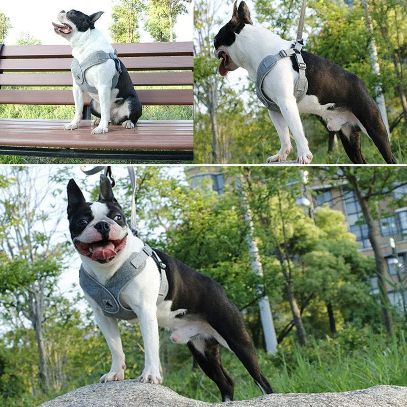 ABRRLO Pet Dog Harness for Small Medium Dogs Reflective Harness Vest Air Mesh Adjustable Dog Harness Soft Padded Breathable (XS, Grey) XS - PawsPlanet Australia