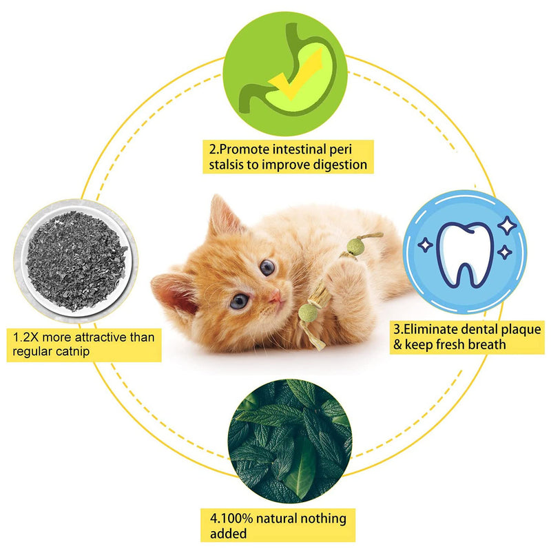 Catnip Toy Cat Toy Indoor，Cat Chewing Natural Silvervine Sticks For Cats，Make The Cat Happy Cat Kick Interactive,Teeth Cleaning Edible Natural to Promote Cat's Appetite，Natural Catnip Mouse Cat Toy Medium - PawsPlanet Australia