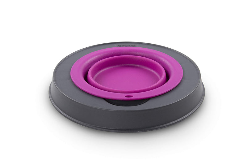 Dexas Popware for Pets Single Elevated Pet Feeder Small/1.5 Cup Capacity Fuchsia - PawsPlanet Australia