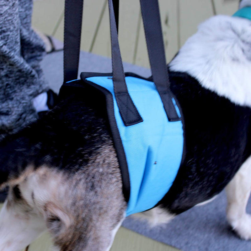 [Australia] - Dog Lift Support Harness Canine Aid - Lifting Older K9 w/ Handle for Injuries, Orthopedic Arthritis or Weak hind legs & Joints. Small / Medium/ Large Breed Assist Sling for Mobility & Rehabilitation 