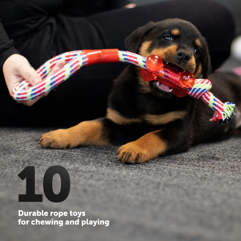 KEPLIN Rope Chew Toys for Dogs - Pack of 10 | Strong Rope, Ball & Tug for Teething, Stimulation & Training | 100% Natural Cotton | Accessories for Small, Medium & Large Puppies & Adults (Style 1) Style 1 - PawsPlanet Australia