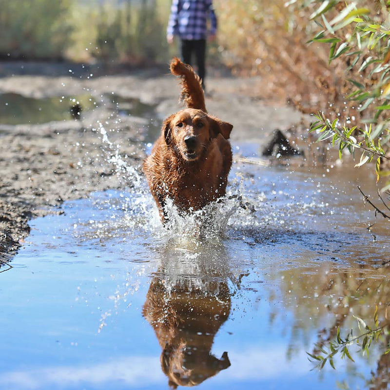 [Australia] - Grip Clean | All Natural Dog Shampoo and Conditioner - Heavy Duty For Outdoor/Stinky dogs - Aloe vera, Tea Tree Oil, Coconut Oil, Rice Bran, Vitamin E 