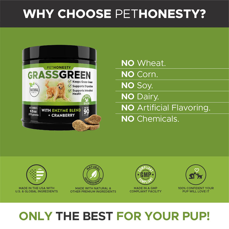 PetHonesty GrassGreen Grass Burn Spot Chews for Dogs - Dog Pee Lawn Spot Saver Treatment Caused by Dog Urine - Cranberry, Apple Cider Vinegar, DL-Methionine Grass Treatment Rocks - 90 Chews Duck - PawsPlanet Australia