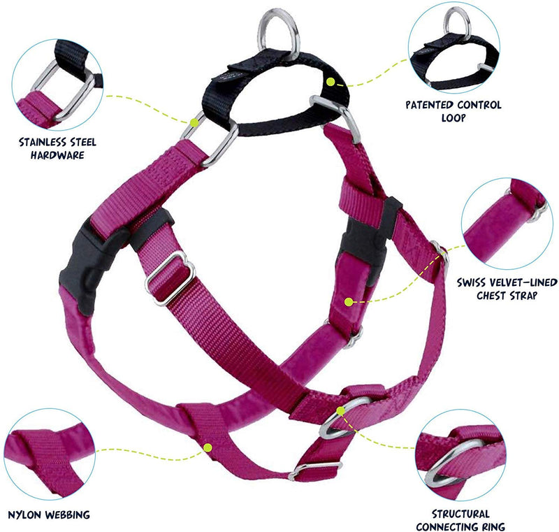 [Australia] - 2 Hounds Design Freedom No-Pull Dog Harness with Leash | X-Small - XX-Large Adjustable Pet Harness for Small and Large Breeds | Made in USA (5/8" Small, Raspberry) 