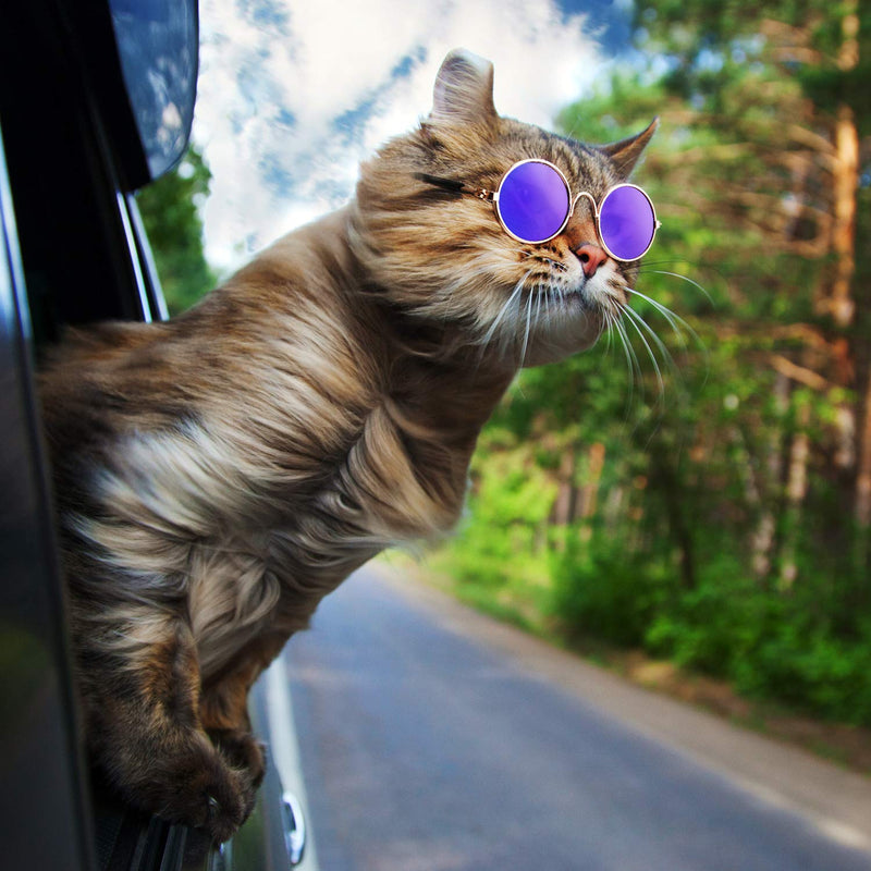 6 Pieces Funny Cute Cat Small Dog Sunglasses Classic Retro Circular Metal Prince Sunglasses Eye-wear Photos Props Accessories Cosplay Glasses (Black and Mix Reflective Color) Black and Mix Reflective Color - PawsPlanet Australia