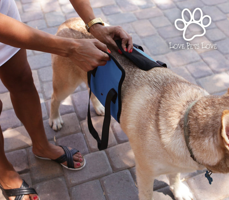 [Australia] - Love Pets Love Vet Approved Dog Lift Support Harness Canine aid. Lifting Older K9 Handle Injuries, Arthritis Weak hind Legs & Joints. Large/X-Large Breed Assist Sling Mobility & Rehabilitation Blue 