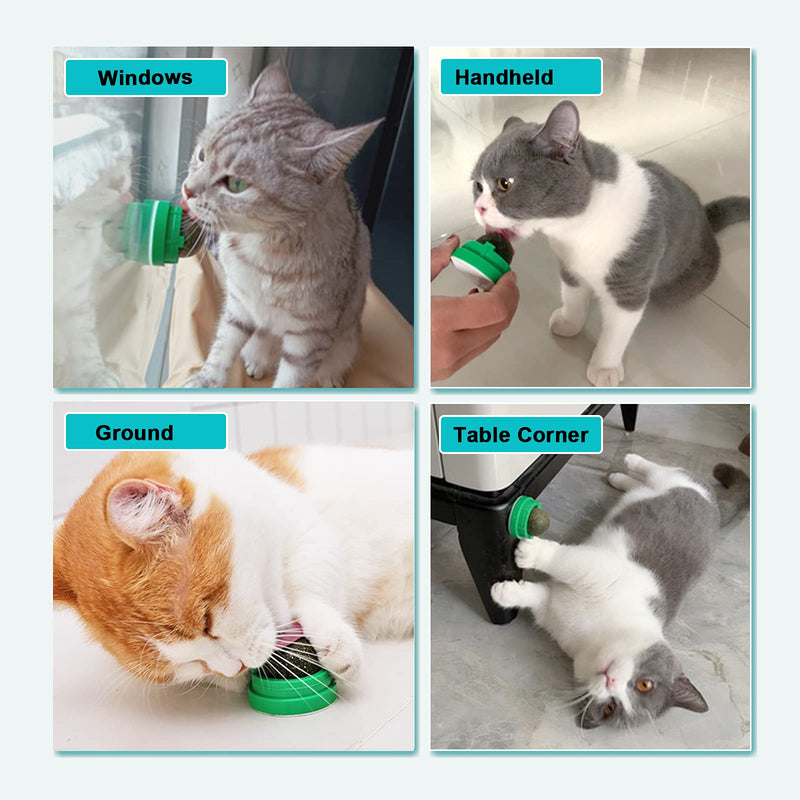 LMUGOOS Catnip Cat Toys with 2 Candies, Catnip Wall Ball Toys for Indoor Cats, Rotatable Safe Healthy Edible Licking Balls for Kitty Playing, Kitten Chew Cleaning Teeth Treats Toys… Green - PawsPlanet Australia