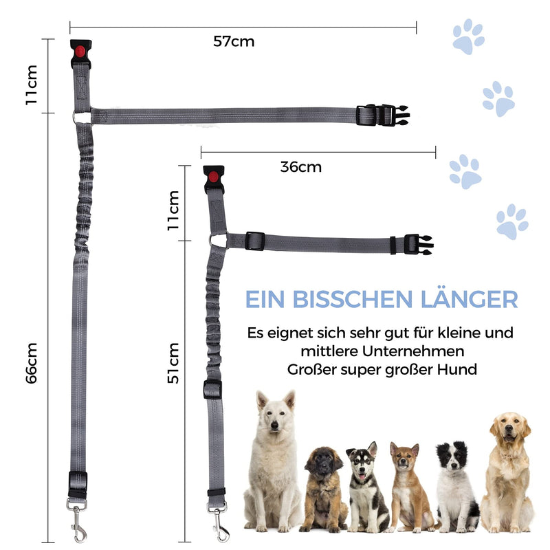 KARY Dog seat belt for car, dog car seat belt for domestic cats and small to medium dogs, dog seat belt for car with reflective strips and buffer ropes (silver) - PawsPlanet Australia