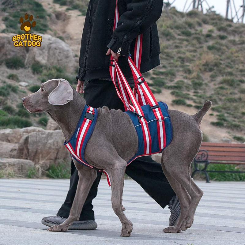 XTrador dog harness carrying aid for dogs especially for hip problems carrying strap for injured, older or musculoskeletal limited dogs rehabilitation safety walking aid (M) M - PawsPlanet Australia