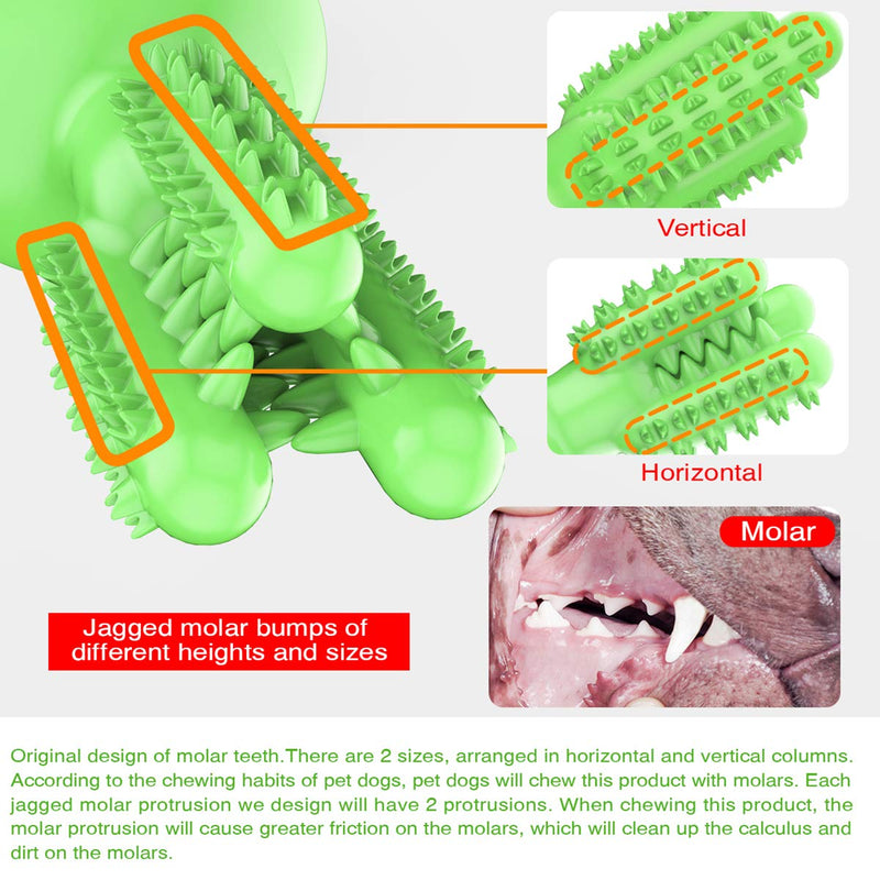 AEITPET Dog Toy Dog Toothbrush Stick Puppy Chew Toys for Medium Large Dogs Brushing Effective Stick Dog Tooth Cleaning Pets Nontoxic Natural Rubber Dog Puppy Dental Care Bite Resistant (Grün) Green - PawsPlanet Australia