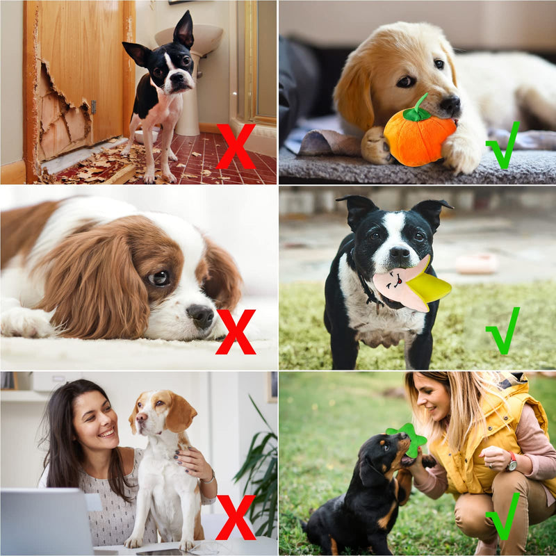 Glaublieb Pack of 10 Dog Toys Squeaky Cute Soft Plush Toys Interactive Toys for Small and Medium Dogs to Relieve Boredom, up to 12 kg - PawsPlanet Australia