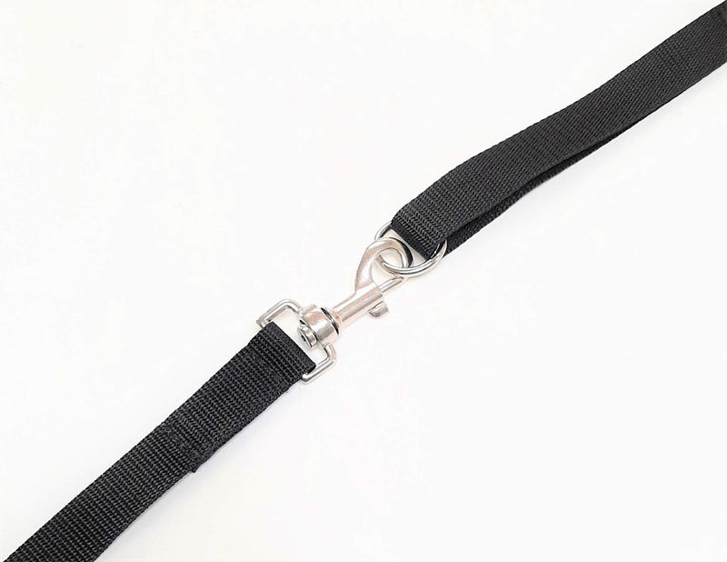 Church Products UK 100ft 30m Long Dog Training Lead Obedience Recall Horse Tracking Leash Large 25mm Webbing In BLACK - PawsPlanet Australia