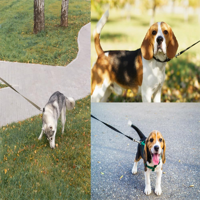 NavoX Dog Training Leash 5m Nylon Long Cord Dog Leash with Padded Handle for Dogs Obedience Tracking (Black) Black 5m - PawsPlanet Australia