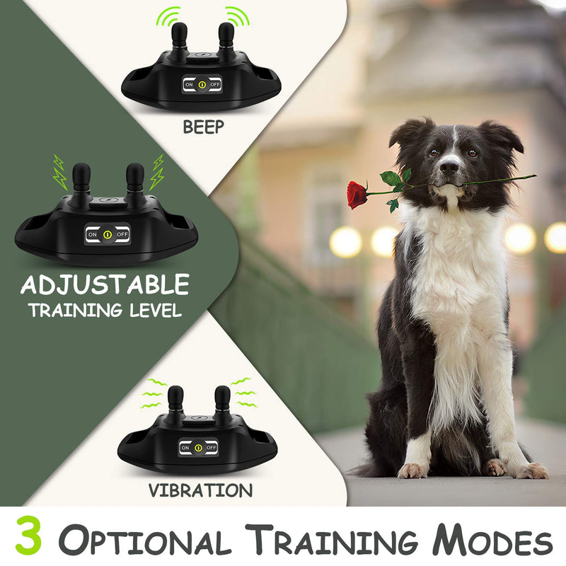 [Australia] - DOG CARE Training Collar with Remote - Rechargeable Dog Training Collar w/3 Modes, Beep, Vibration and Adjustable Static Levels, Up to 1000Ft Remote Range, E Collar for Large Medium Small Dogs 