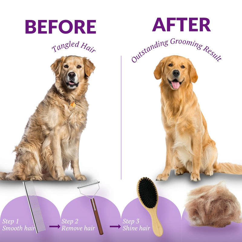 DELOMO Dog Brush Set, Undercoat Rake, Dog Comb, Bristles Brush for Shedding, Dematting, and Deshedding - Ideal Shedding Tool for Medium or Long-haired Dogs and Cats (3PCS) - PawsPlanet Australia