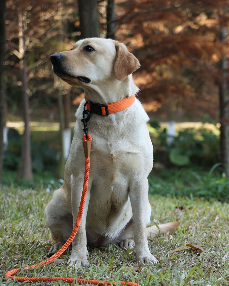 lynxking tow leash for dogs, dog leash, retriever leash, leash for small medium large dogs (grey, carabiner hook-0.9cm x 180cm) grey - PawsPlanet Australia
