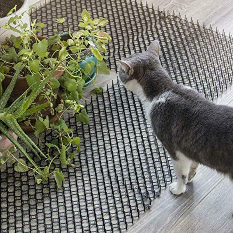 AOOCEEPAW 10pcs/Set Garden Sting Outdoor Indoor Cat Dog Scat Mat Prickle Deterrent Devices - PawsPlanet Australia