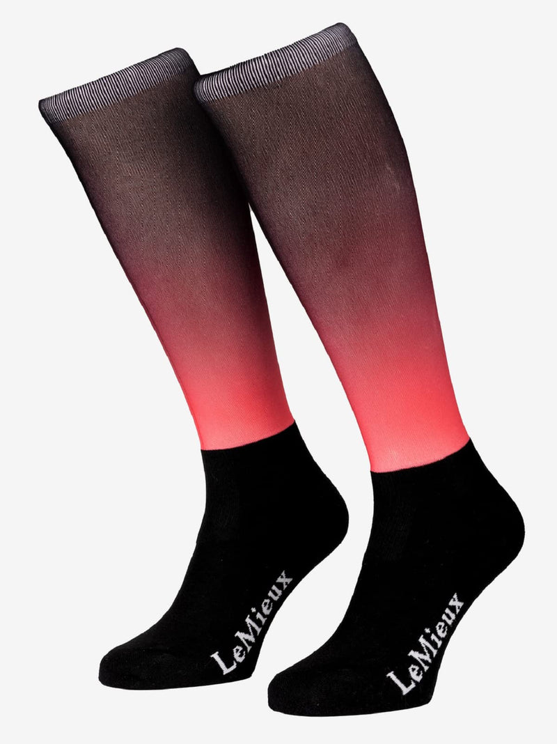 LeMieux Spectrum Adults Socks - Aubergine/Papaya - PawsPlanet Australia