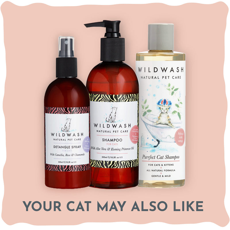 WildWash Purrfect Cat Shampoo with Added Catnip 250ml Makes Bathing Fun, Adds Shine and Brightness to Dull Hair, Natural, Sulfate and Paraben Free for Sensitive Skin - PawsPlanet Australia