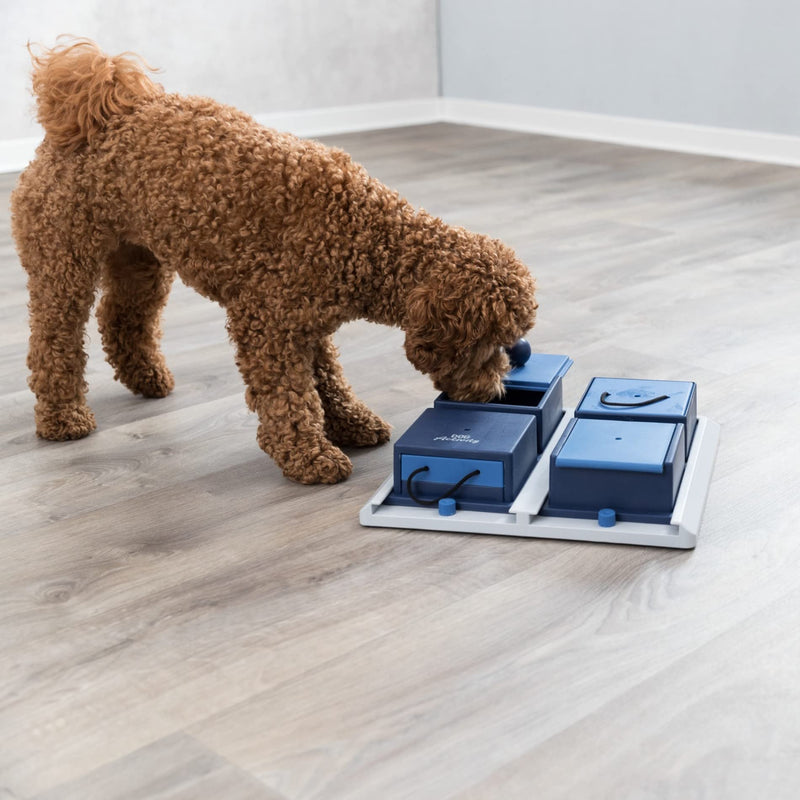 TRIXIE dog toy intelligence dog activity strategy game “Poker Box 1” – sophisticated intelligence toy for dogs to keep busy, 31x31cm – 32012 - PawsPlanet Australia
