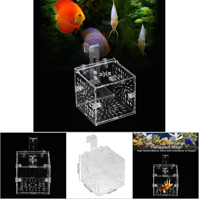 Fish Separation Breeder Box, Acrylic Transparent Fish Tank Breeding Isolation Box Aquarium Hatchery Incubator Holder A-10x10x10cm - PawsPlanet Australia