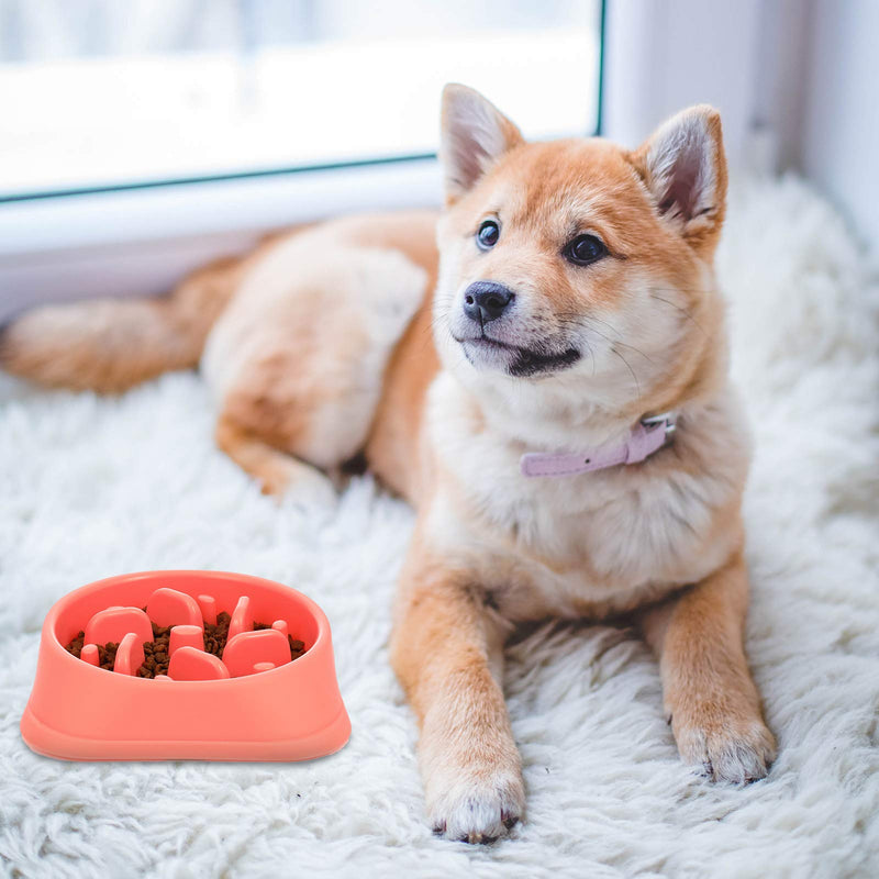 Heyu-Lotus 2 Pack Slow Feeder Dog Bowl, Anti-Gulping Maze Interactive Puzzle Dog Bowl Fun Feeder Non-slip Anti-Choking Dog Bowl with Spoons (Pink&Blue) - PawsPlanet Australia